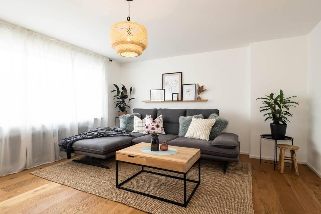 Busingen am Hochrhein Luxury Apartment On The Rhein מראה חיצוני תמונה