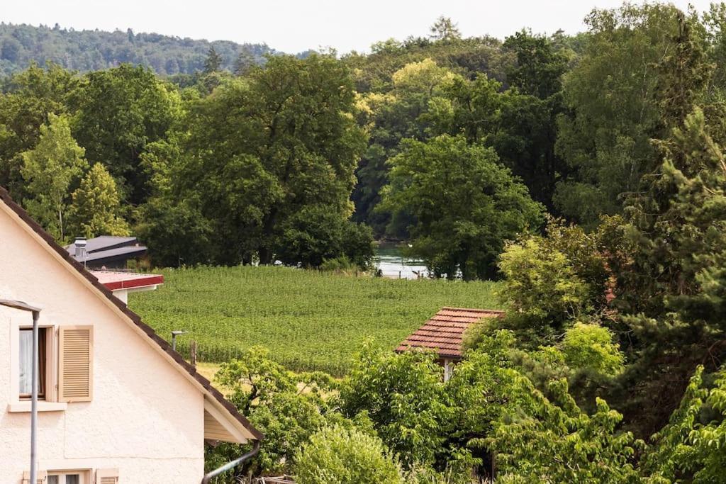 Busingen am Hochrhein Luxury Apartment On The Rhein מראה חיצוני תמונה