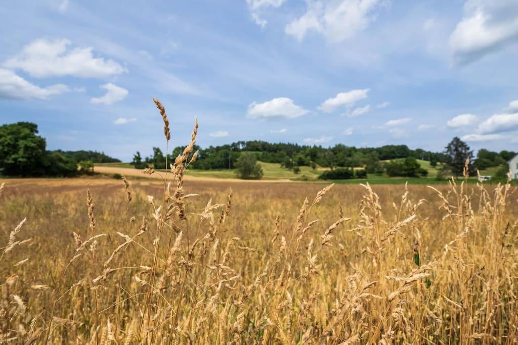 Busingen am Hochrhein Luxury Apartment On The Rhein מראה חיצוני תמונה