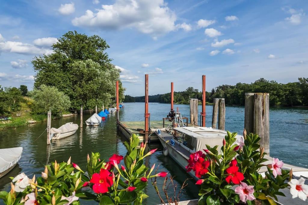 Busingen am Hochrhein Luxury Apartment On The Rhein מראה חיצוני תמונה