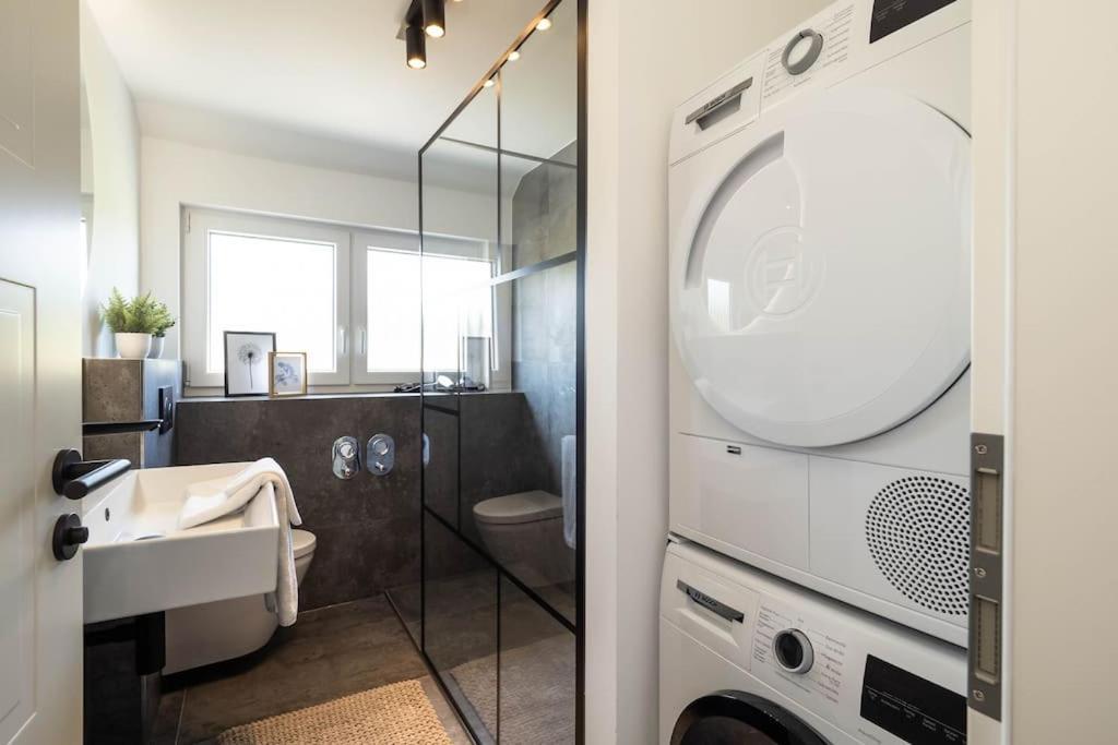Busingen am Hochrhein Luxury Apartment On The Rhein מראה חיצוני תמונה