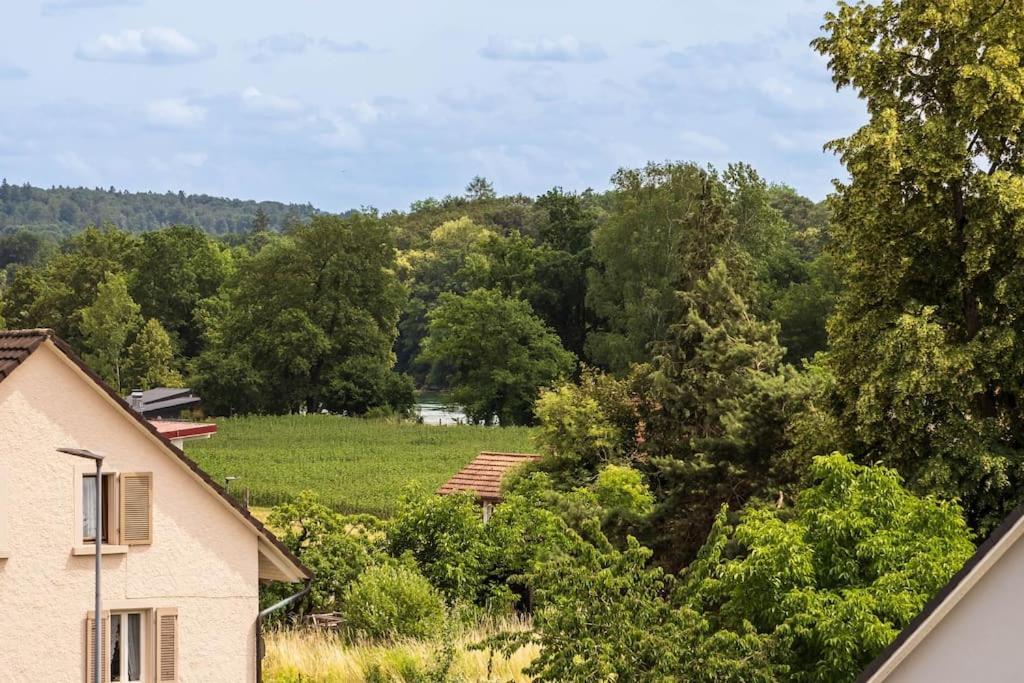 Busingen am Hochrhein Luxury Apartment On The Rhein מראה חיצוני תמונה